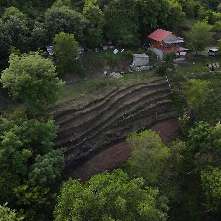 Tsanava'S Cottage In Сигнахи Екстериор снимка