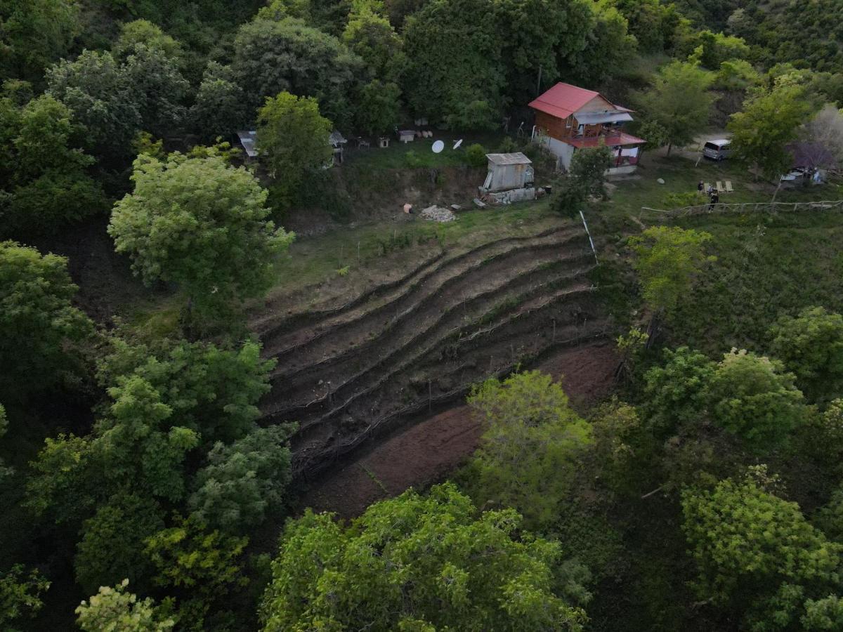 Tsanava'S Cottage In Сигнахи Екстериор снимка