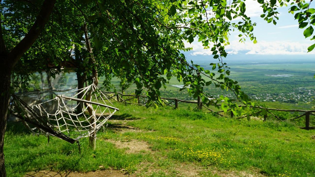 Tsanava'S Cottage In Сигнахи Екстериор снимка